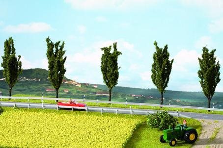 Noch 07420 Rapeseed Field