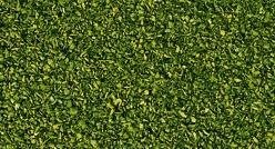 Noch 08411 Grass, light green, 165 gr