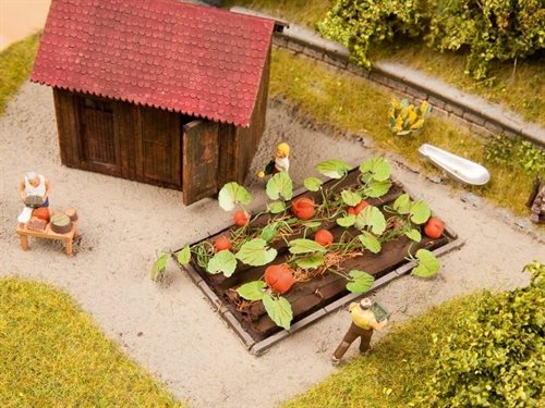 Noch 13219 Græskar, Laser Cut, 8 planter, 3 x 6 cm H0  NYHED 2019