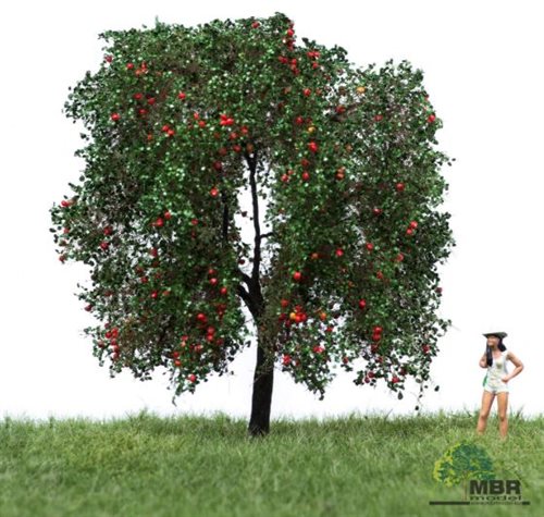 mbr 51-2404 Ælbetræ, 12-16 cm, sommer, NYHED 2020