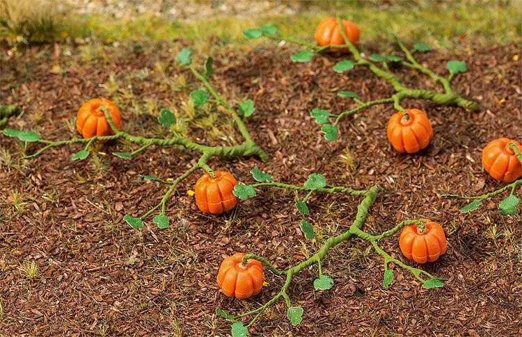 Planter og blomster