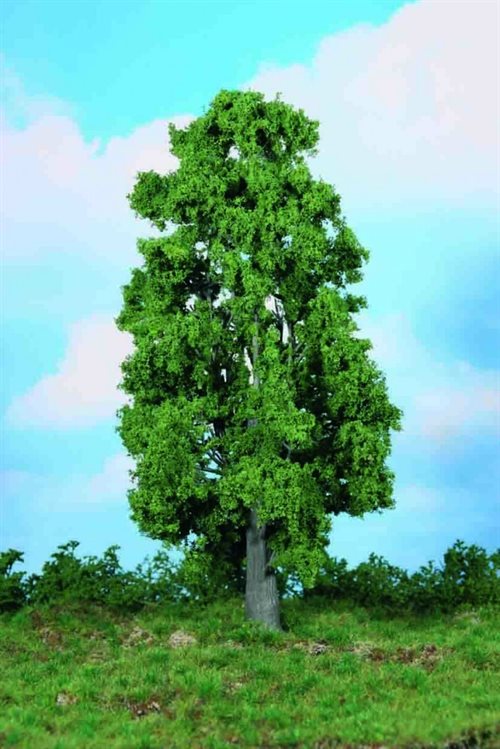 Heki 1988 Kastanjetræ, 30 cm