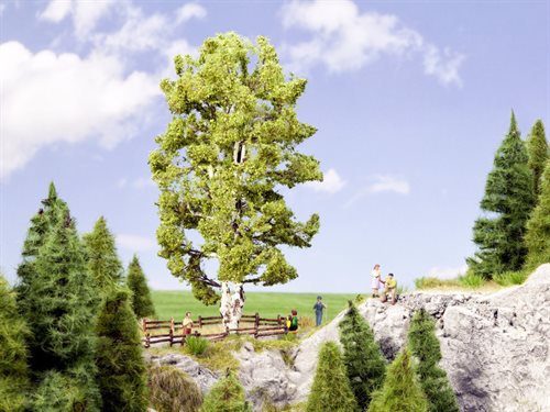 Noch 21641 Dobbeltstammet birketræ 19 cm højt, H0 NYHED 2016