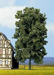 Noch 21800 Kastanie træ