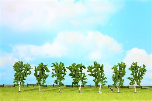 Noch 25096 7 Birketræer, 10 cm høje