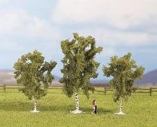 Noch 25120 3 Birketræer, 8 og 10 cm høje