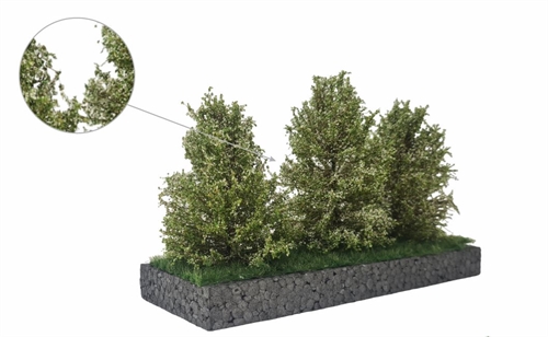 mbr 50-4016 Tall shrubs, white flowering, 7-11 cm, 3 pcs
