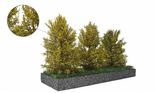 mbr 50-4017 Tall shrubs, yellow flowering, 7-11 cm, 3 pcs