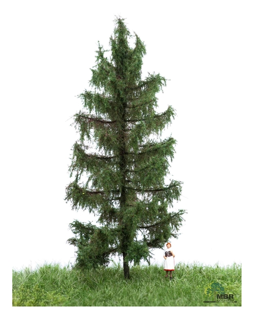 mbr 51-4206 Pine Tree, Summer, 12-16 cm