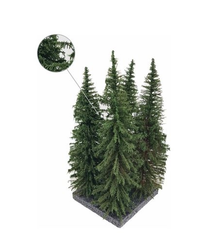 MBR 51-4307 4 x spruce trees, 18-21 cm, trace-neutral