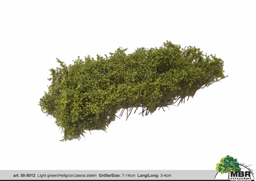 MBR 50-5012 Shrub, light green