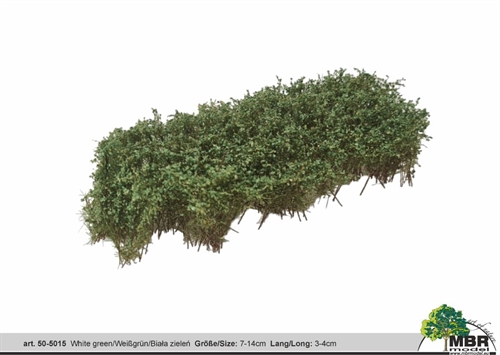 MBR 50-5015 Shrub, White/Green