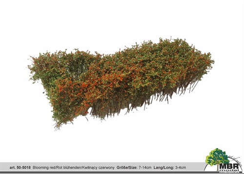 MBR 50-5018 Shrub, Flowering Red