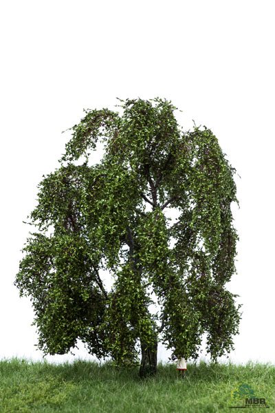MBR 51-2309 Willow Tree, Summer, Height 18-22 cm