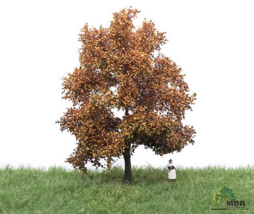 mbr 52-2202 Birch,12-16 cm, autumn
