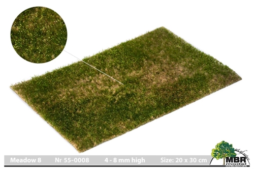 MBR 55-0008 Grass Mat, Meadow, 4-8 mm, size 20 x 30 cm