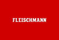 Fleischmann Spor N
