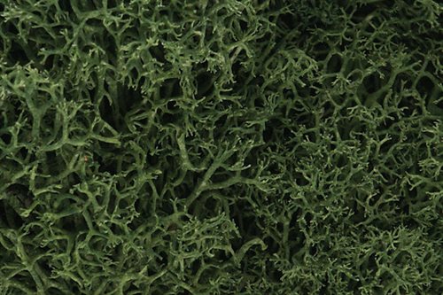Woodland Scenics L163 Moss, Medium Green, Small Bag