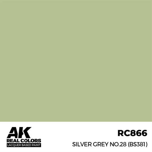 AKRC866 Silver Grey No. 28 (BS381), 17ml