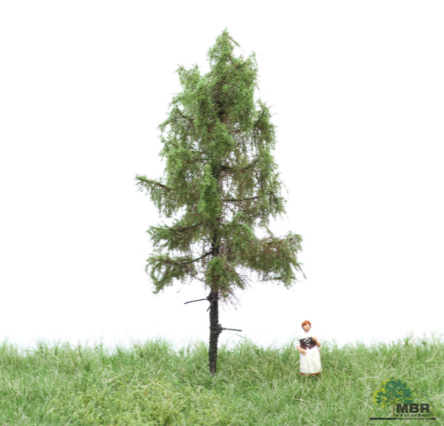 mbr 51-4202 Skov lærk, 12-16 cm, NYHED 2020