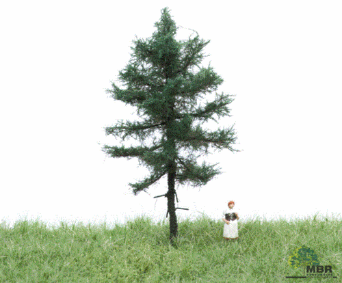 mbr 51-4101 Pine Tree, 6-10 cm, summer