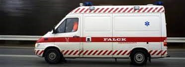 DMC Decals FB030 Falck, white, 1/87