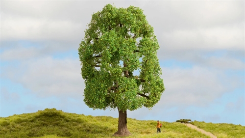 Noch 20100 Ash Tree, 20 cm high, H0, TT, N, ,Z 0, 1, G