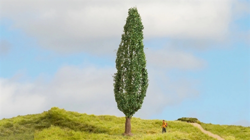 Noch 20130 Poplar, 18 cm high, H0, TT, N, Z 0, 1, G
