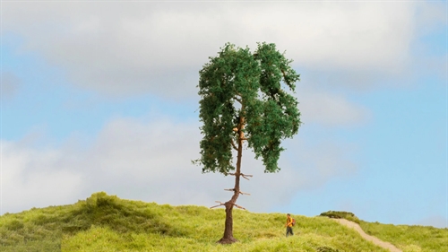 Noch 20140 Pine Tree, 15 cm high, H0, TT, N, Z 0, 1, G